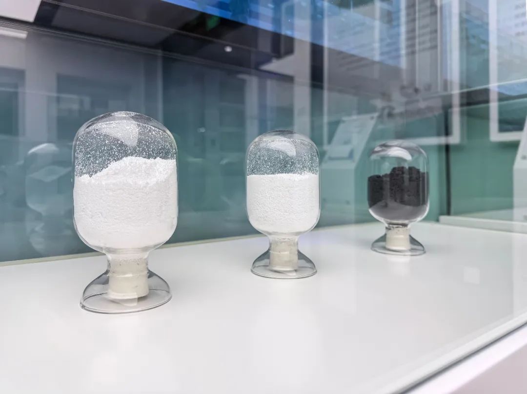 Lithium_Battery_Summit-6.jpg